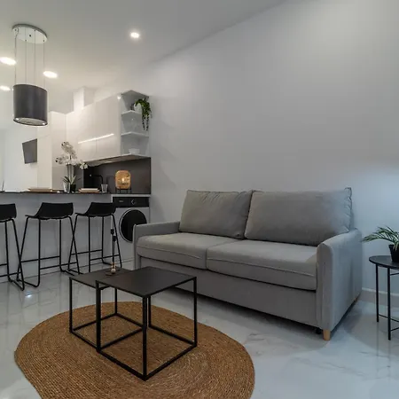 Loft Miguel Angel *