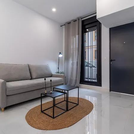 Lägenhet Loft Miguel Angel