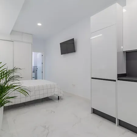Lägenhet Loft Miguel Angel *