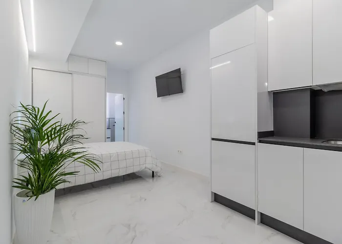 Apartment Loft Miguel Angel *