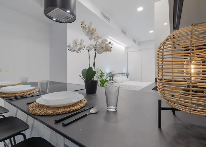 Appartement Loft Miguel Angel *