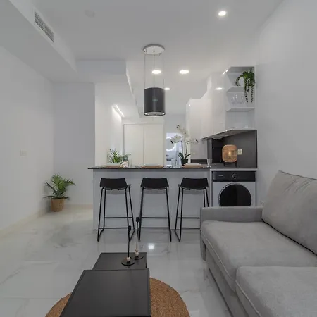 Loft Miguel Angel